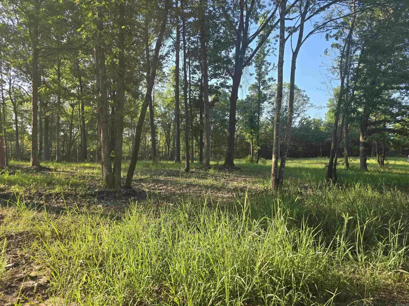 210 Polk Road 121, Mena, AR 71953