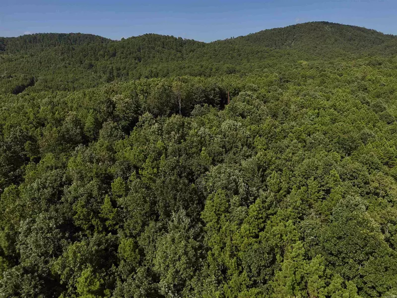 Lot 6 Polk Road 78, Mena, AR 71953