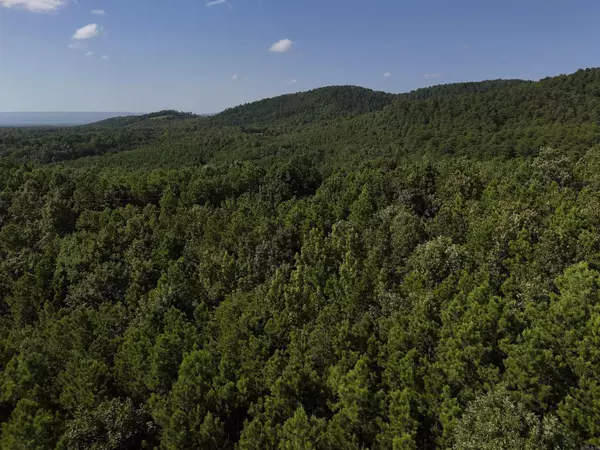 Mena, AR 71953,Lot 8 Polk Road 78