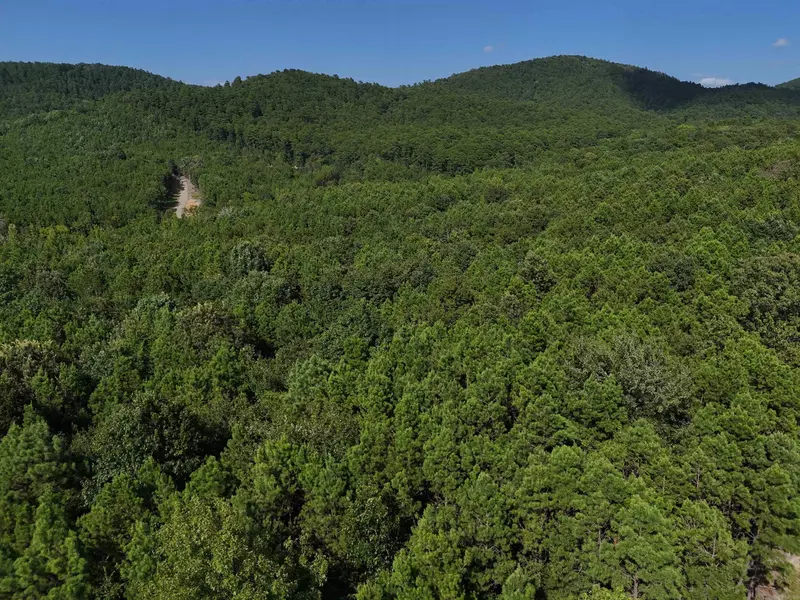 Lot 10 Polk Road 78, Mena, AR 71953