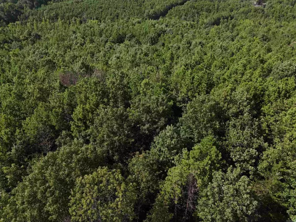 Mena, AR 71953,Lot 11 Polk Road 78