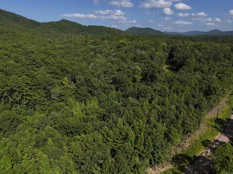 Lot 13 Polk Road 78, Mena, AR 71953