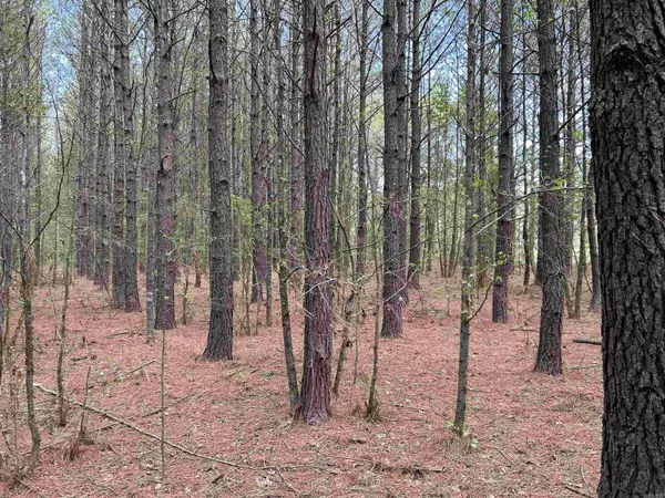 Vilonia, AR 72173,53 Center Point Loop