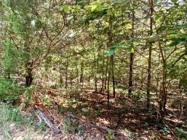 Horseshoe Bend, AR 72512,901 Primrose Lane