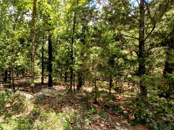 Horseshoe Bend, AR 72512,901 Primrose Lane