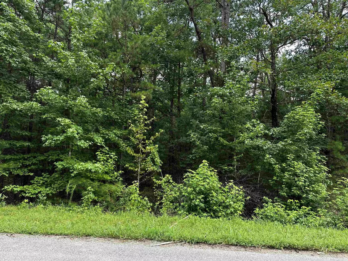 Shirley, AR 72153,Lot 106 Cobalt Bay Drive