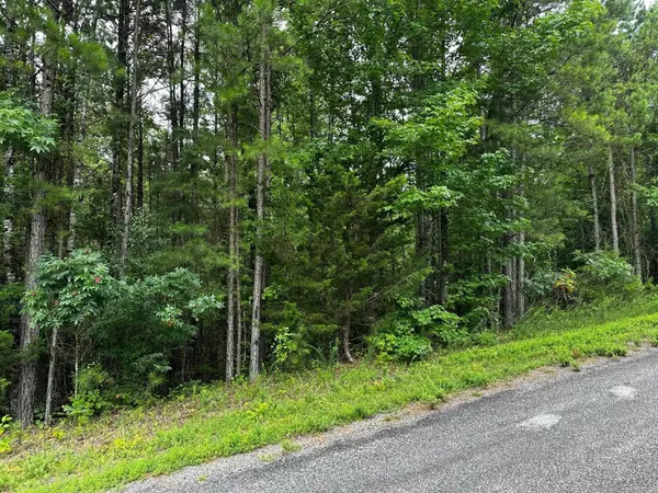 Lot 107 Cobalt Bay Drive, Shirley, AR 72153