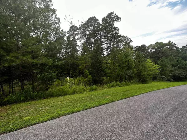 Shirley, AR 72153,Lot 88 Cobalt Bay Drive