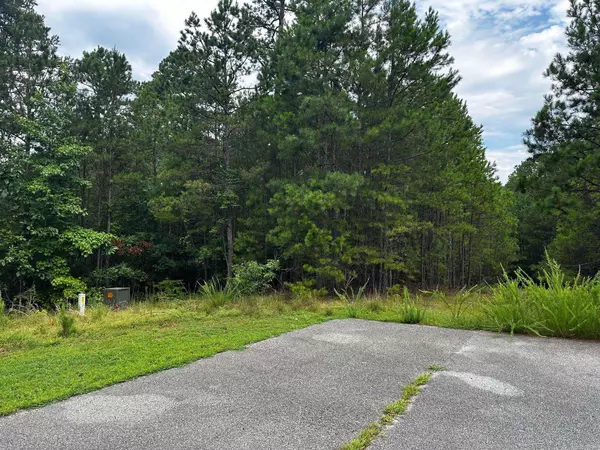Shirley, AR 72153,Lot 91 Cobalt Bay Drive