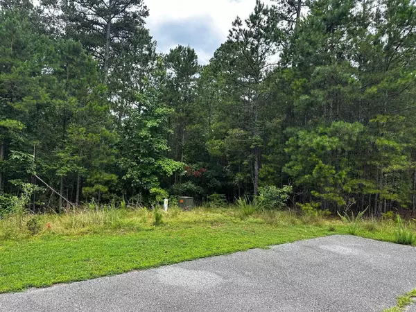 Shirley, AR 72153,Lot 91 Cobalt Bay Drive