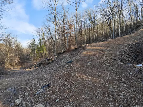 Lot 7, 8, 9 Turkey Trail, Paron, AR 72122
