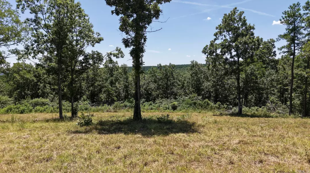000 Timberline Drive (Tract 1), Leslie, AR 72645
