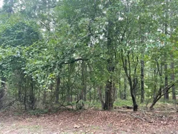 Hot Springs Village, AR 71909,46 Mandarina Way