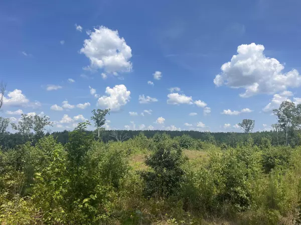 S Vineyard Road, Malvern, AR 72104