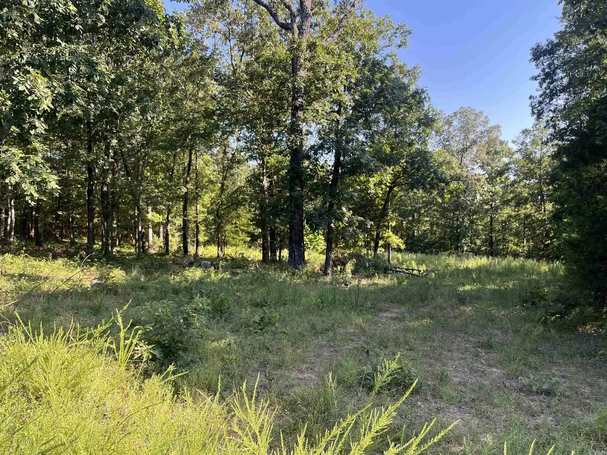 Edgemont, AR 72044,11 Talon Lane