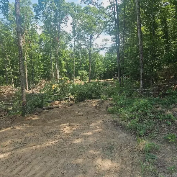 Clinton, AR 72031,1 Pebble Drive