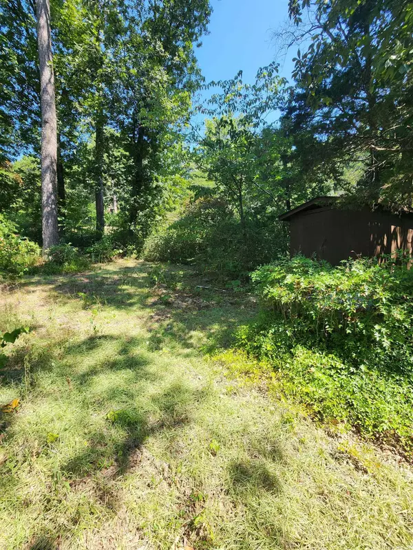 Edgemont, AR 72044,4 Whitewood Circle
