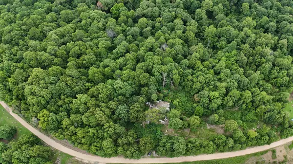 Yellville, AR 72687,1267 Brushy Fork