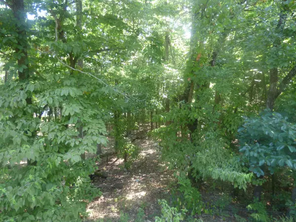 Cherokee Village, AR 72529,Chesapeake Drive