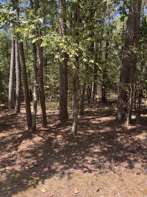 Hot Springs Village, AR 71909,17 Fonsagrada Cir