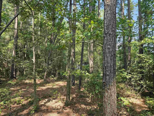 Hensley, AR 72065,000 Block Road