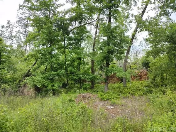 Hot Springs Village, AR 71909,40 Hidalgo Drive