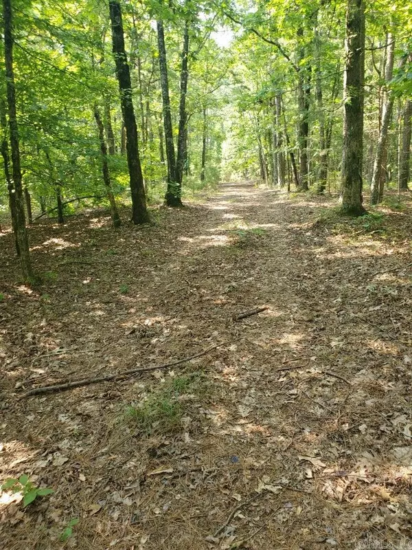 Mena, AR 71953,TBD Polk Road 62