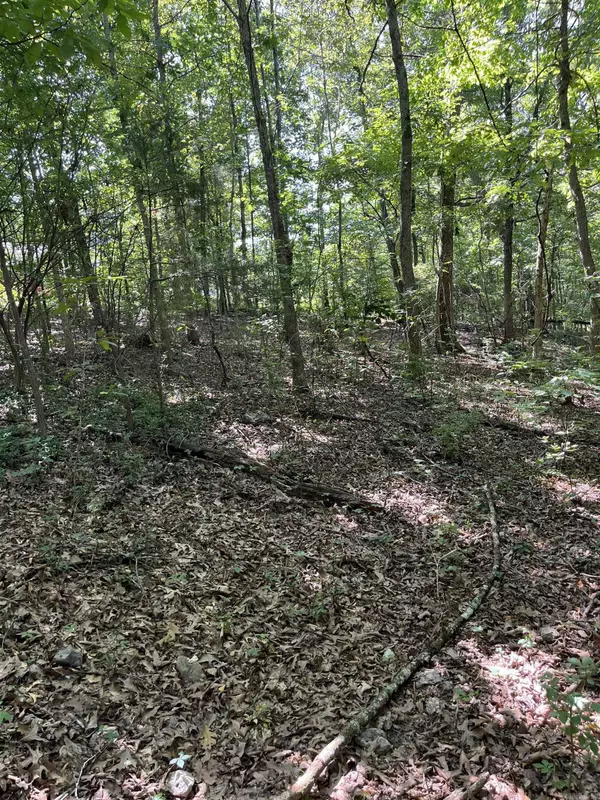 Lakeview, AR 72653,Lt 23,24,25 Sycamore Tree Lane