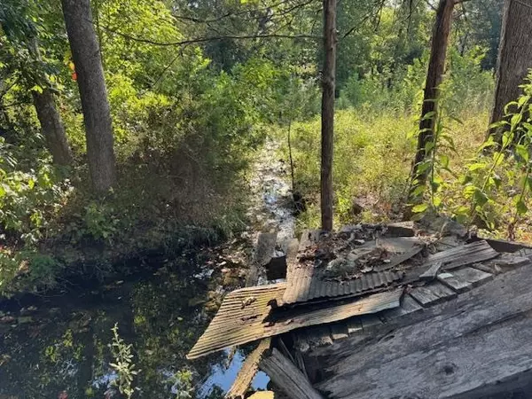 Camp, AR 72520,TBD Brookgrove Trl