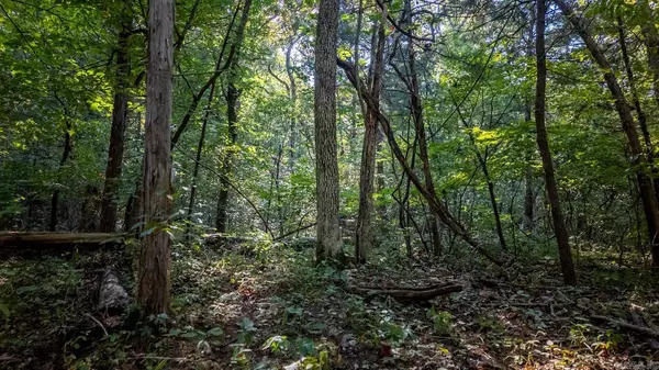 Clarkridge, AR 72623,000 Calhan Circle