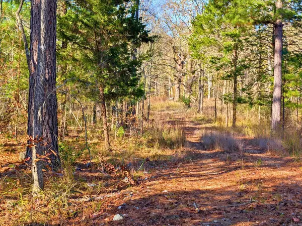 Jessieville, AR 71949,4200 Block of HWY 298