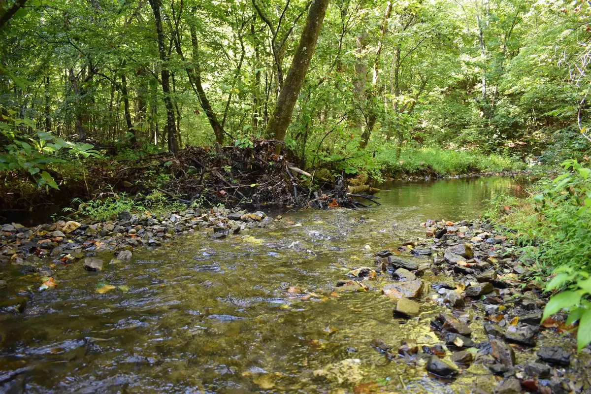 Norman, AR 71960,0000 Beech Creek Road