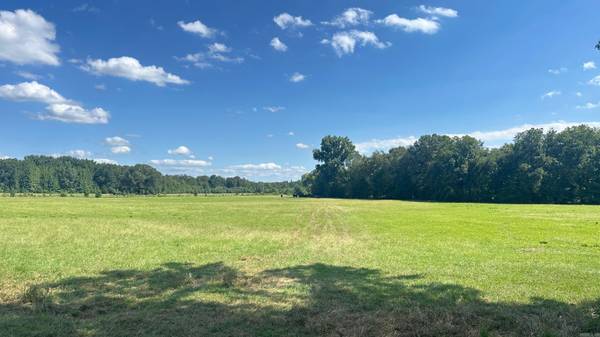 Bald Knob, AR 72010,730 HWY 258