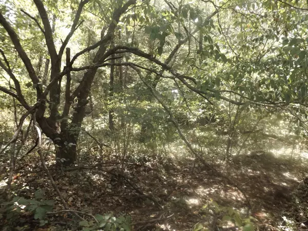 Lakeview, AR 72642,002-10881-000 Hwy 178