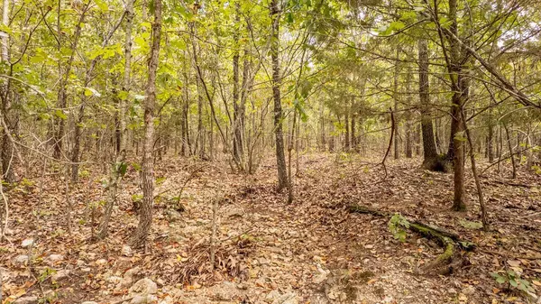 Koshkonong, MO 65692,000 County Road 9640