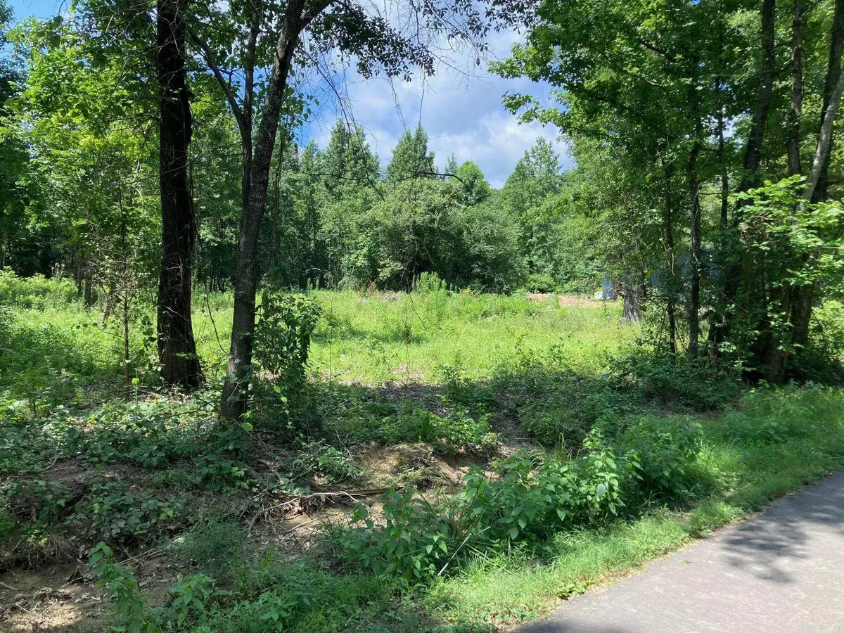 Vilonia, AR 72173-0000,00 Cypress Loop