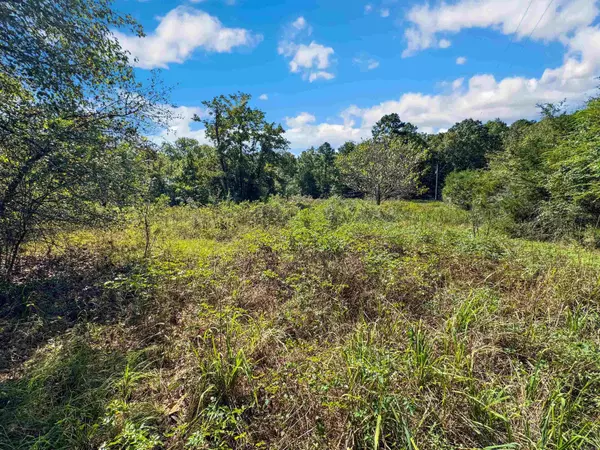 Conway, AR 72034,TBD Tupelo Road