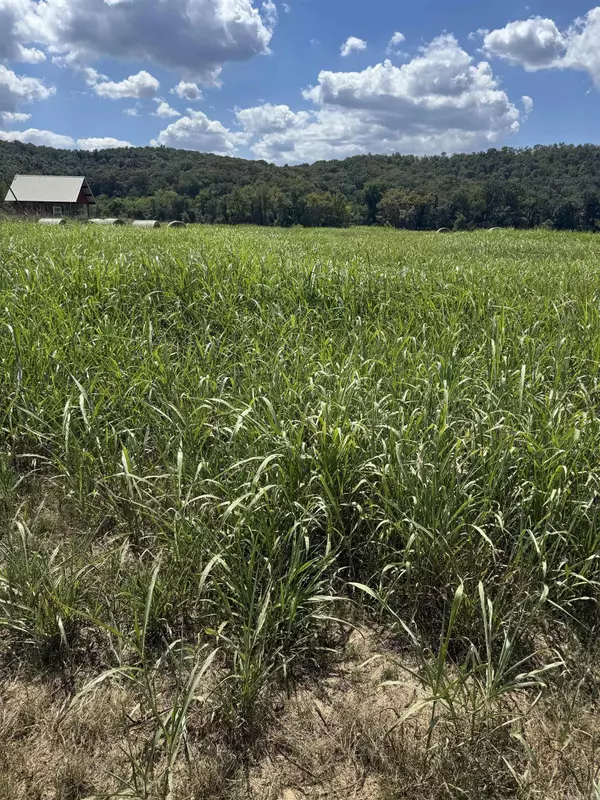 50, 59, 60 White River Run, Guion, AR 72540