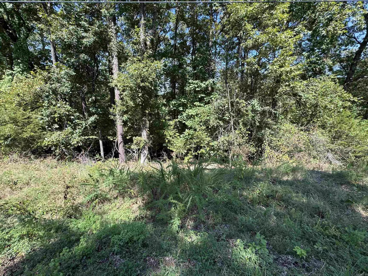 Edgemont, AR 72044-0000,Lot 51 Valhalla Drive