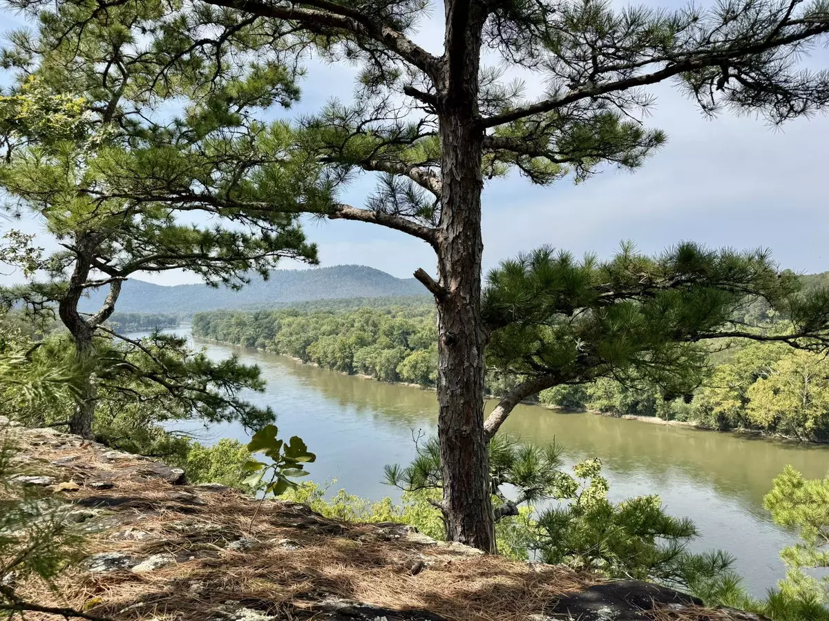 Melbourne, AR 72556,110 Mount Olive Road