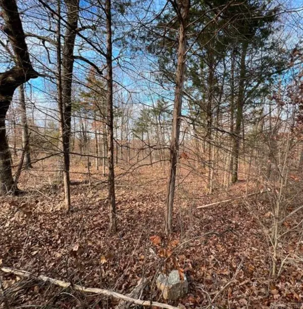 Horseshoe Bend, AR 72512,1113 Connection Street