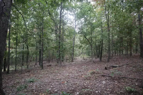 3958 Young Rd, Salem, AR 72576