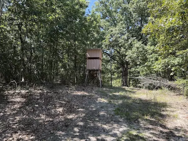 Calico Rock, AR 72519,Haw Mountain Cemetery Road