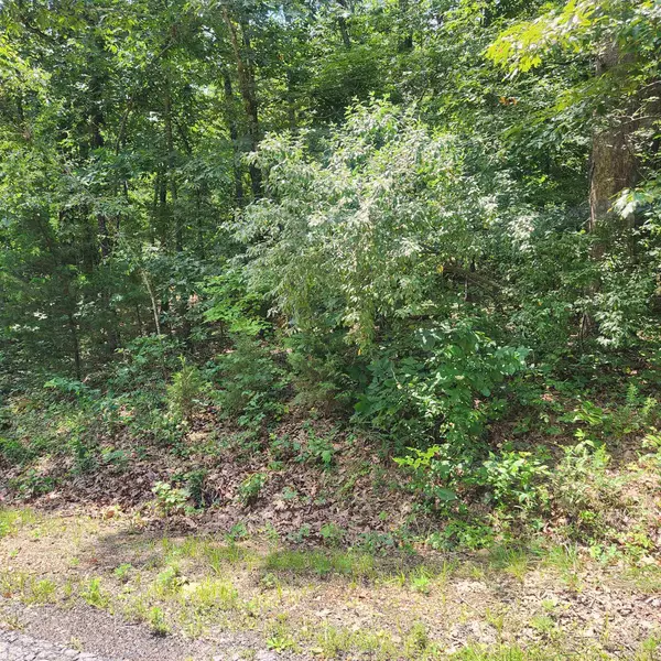 Cherokee Village, AR 72529,L-42, B-1 Saskatchewan Drive