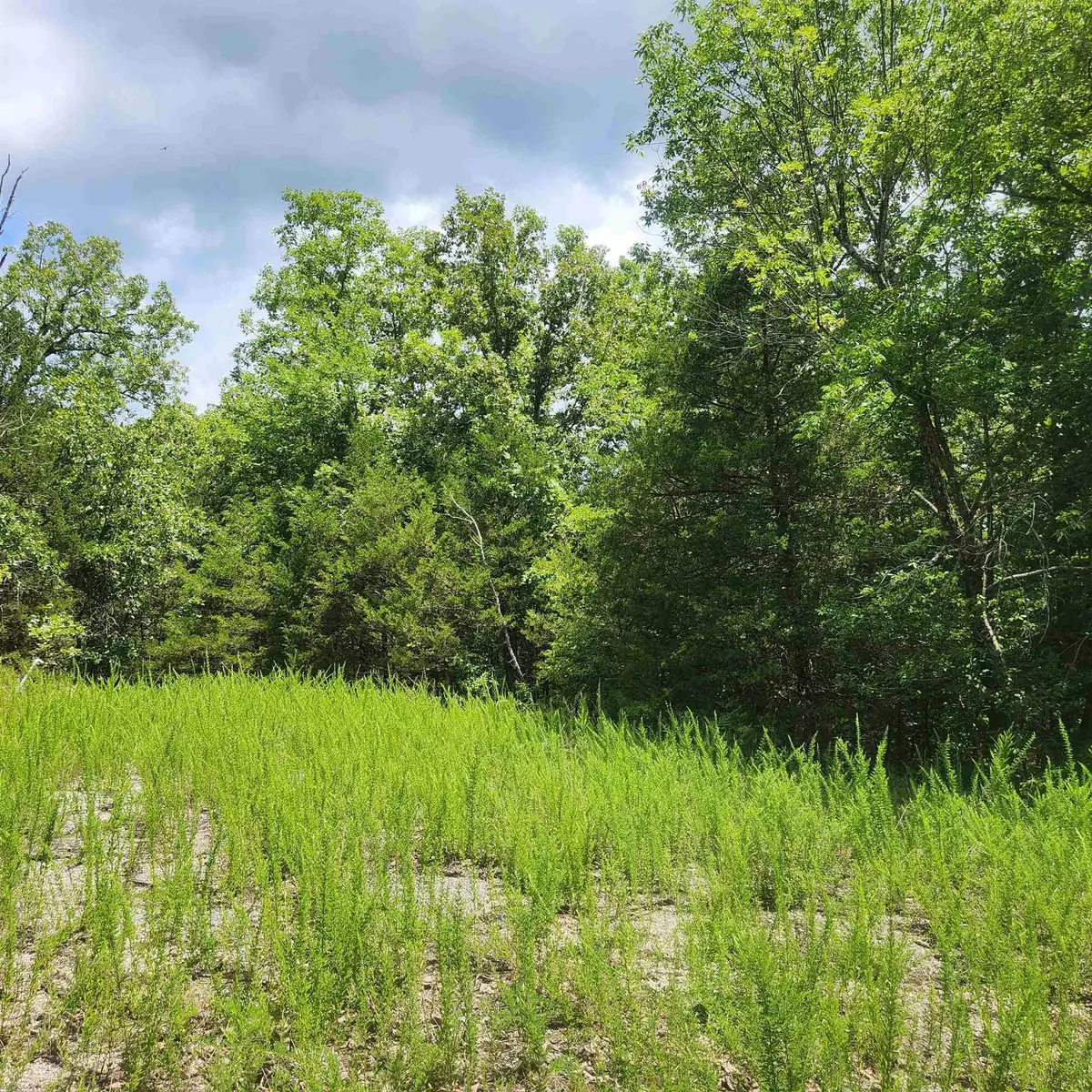 Cherokee Village, AR 72529,L-83, B-4 Hernando Trace
