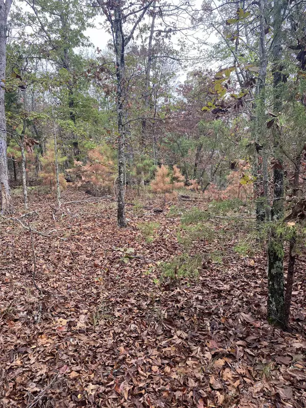 Calico Rock, AR 72519,150 Lofton Road