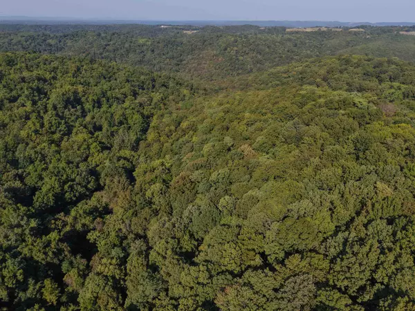 Mount Pleasant, AR 72561,180A Lafferty Road