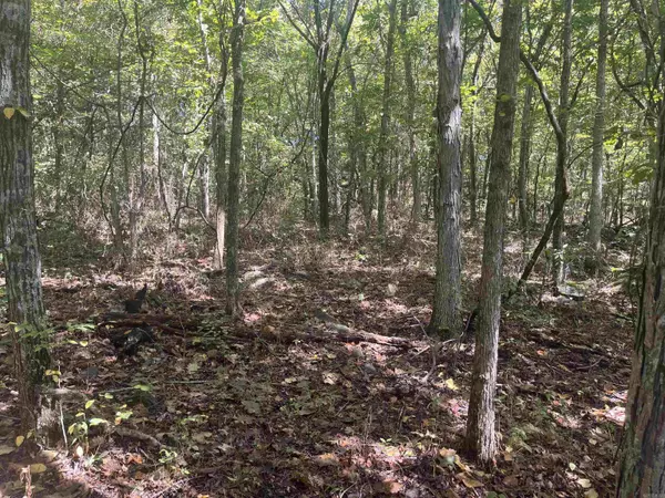 Marshall, AR 72650,Address not disclosed