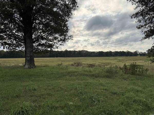 6072 County Road 745, Brookland, AR 72417