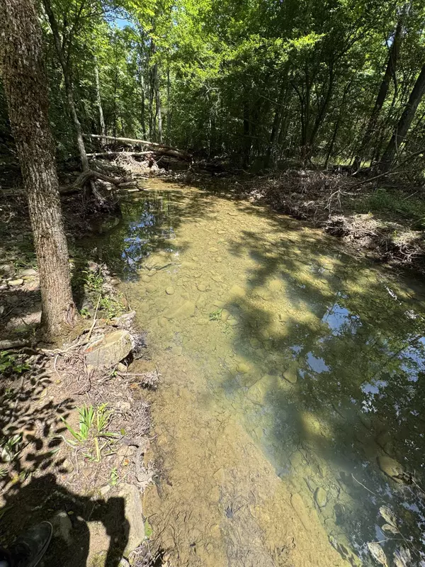 Mount Ida, AR 72957,21 Moon Dance Road